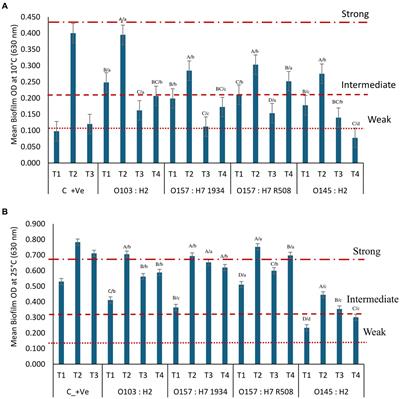 Evaluating disinfectant efficacy on mixed biofilms comprising Shiga toxigenic Escherichia coli, lactic acid bacteria, and spoilage microorganisms